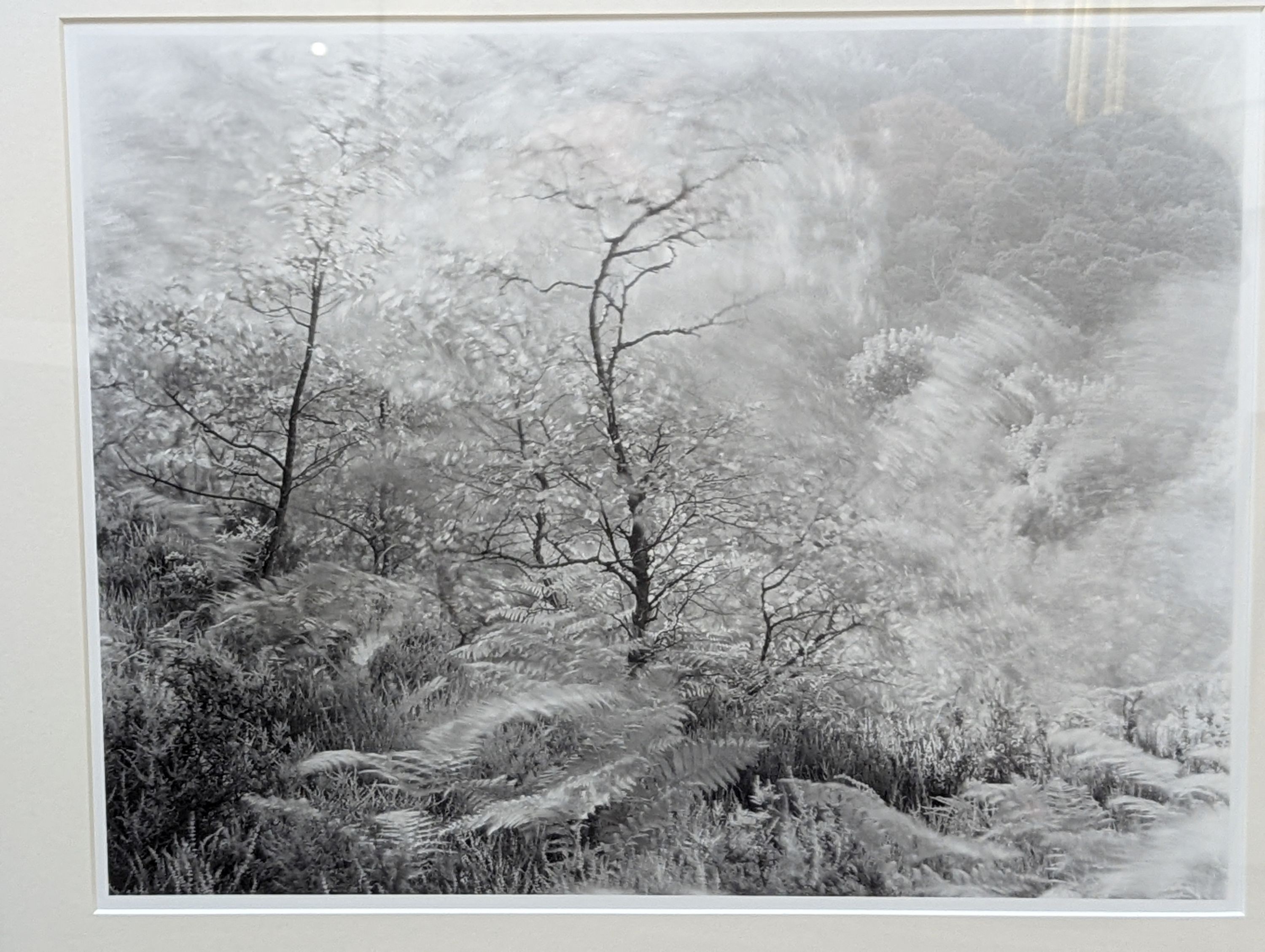 John Blakemore (1936-), six gelatin silver prints, Wind Series 3, 32 x 40cm, Wind Series 2, 32 x 40cm, Amber Gate, Derbyshire, 1981, 31 x 40cm and signed, Wind Series 1, 32 x 40cm, Studio still life, 30 x 22cm and Black